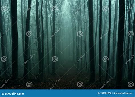 Mysterious Dark Autumn Forest In Green Fog With Road Trees And