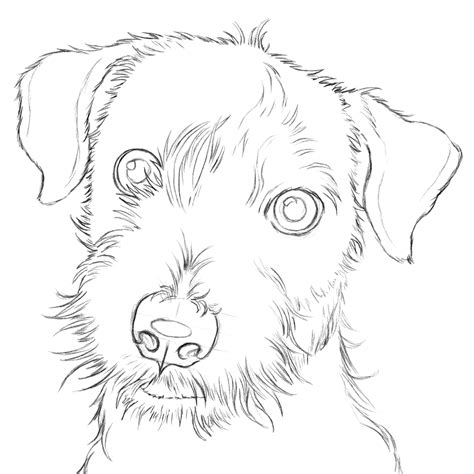 Realistic Dog Drawing Outline Canvas Site