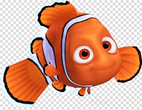 Download Hd Nemo Png Clipart Marlin Crush Nemo Png Transparent Png