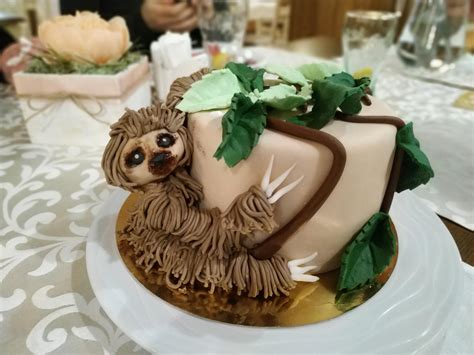 About press copyright contact us creators advertise developers terms privacy policy & safety how youtube works test new features press copyright contact us creators. My birthday cake : sloths