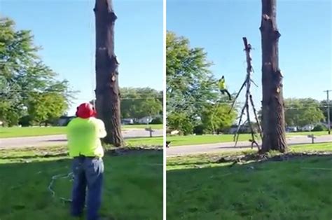 Tree Surgeon Flies After Failing At Cutting Down Branch In Funny Video