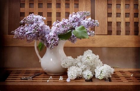 Purple Flowers In White Ceramic Vase Hd Wallpaper Wallpaper Flare