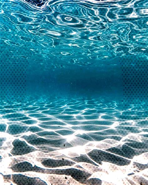 Tropical Underwater Photography Underwater Abstract Artwork