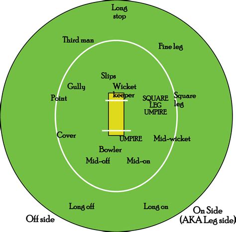 Questions About T20 Strategy Rcricket