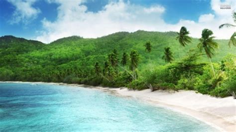 Seychelles Resort Ocean Holiday Beach Island Seychelles Wallpaper