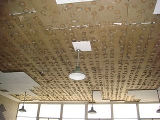 Asbestos ceiling tiles were commonly used in schools, universities, warehouses, hospitals, and colleges during this era. Asbestos Ceiling Tile Adhesive | Excessive moisture build ...