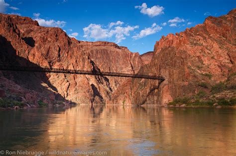 Black Bridge Of The Colorado River Grand Canyon National Park