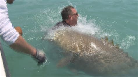 Most Viewed Fishing Video Catching Big Fish Catches Sanibel Fort