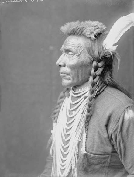 297 best nativeamer blackfoot images on pinterest native american native american indians and