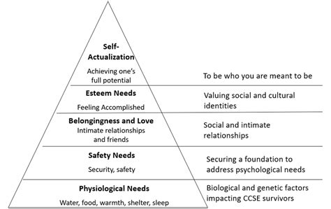 Maslows Hierarchy Of Needs Adapted From Maslow 1943 Download