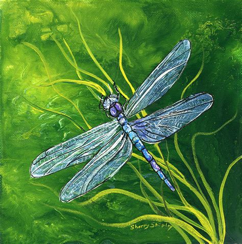Dragonfly Painting By Sherry Shipley Fine Art America