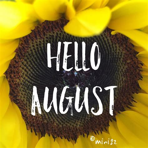 Hello August Sunflower - Tap to see more August wallpapers! @mobile9 | Hello august, August ...