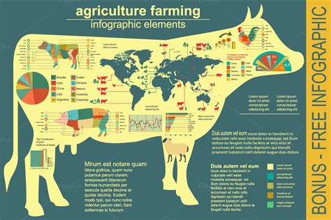 Agriculture Infographic Templates Illustrations On Creative Market