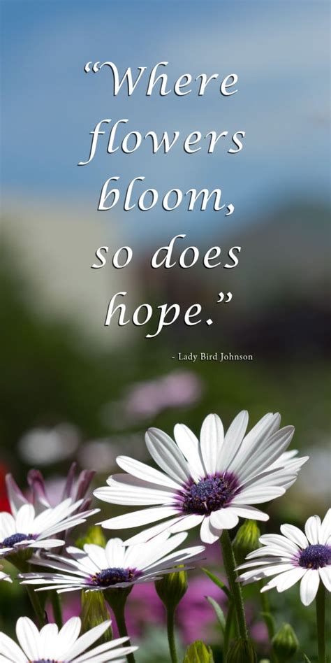 Maybe you would like to learn more about one of these? Quotes About Flowers Blooming. QuotesGram