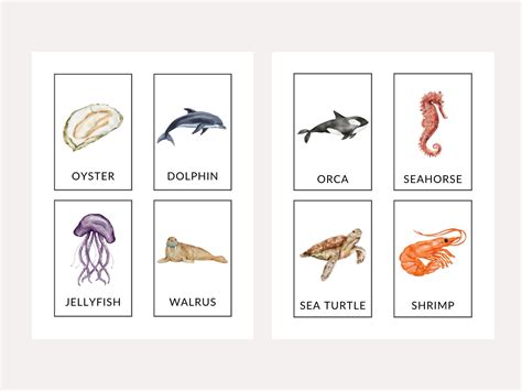 Sea Animal Flash Cards Printable Educational Cards Etsy