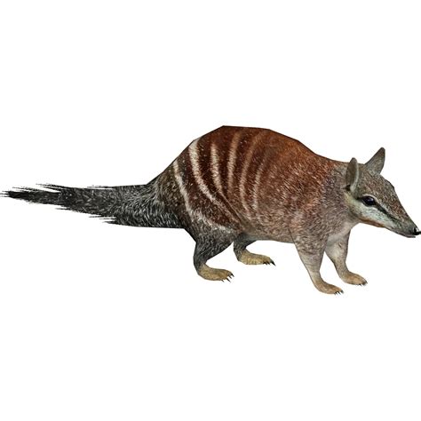 Image Numbat Nessich4png Zt2 Download Library Wiki Fandom