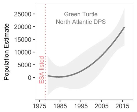 Hawksbill sea turtle (eretmochelys imbricata). Hawksbill Sea Turtle Population 2019