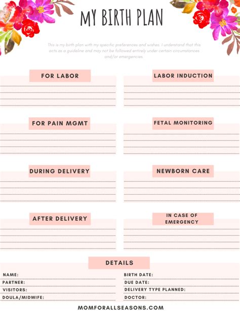 The Benefits Of Having A Birth Plan With A Birth Plan Printable Mom