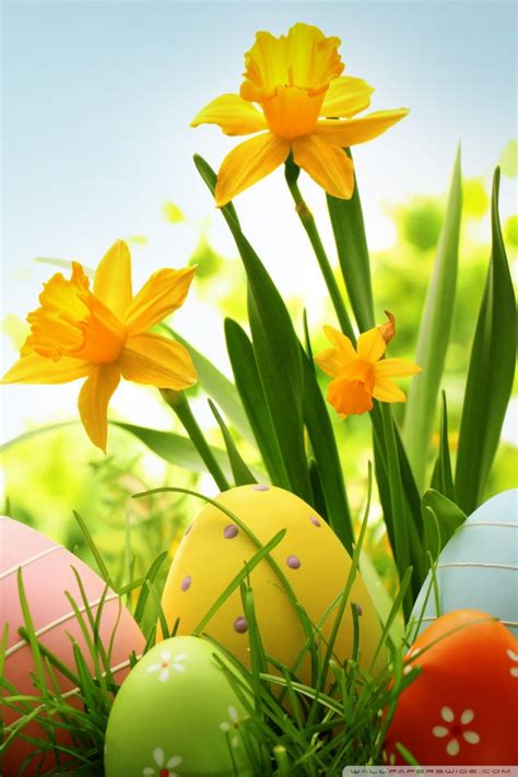 30 Cute Easter Iphone Wallpapers Available Ideas
