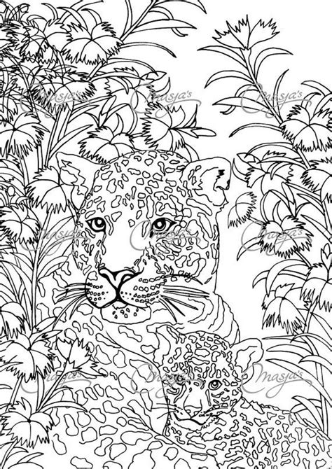 Naturaleza Imagenes De Dibujos Para Colorear Para Adultos Mayores - the