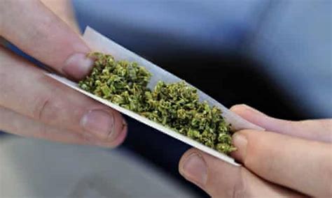 Teenagers Who Use Cannabis Every Day 60 Less Likely To Finish School