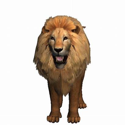 Lion Animated Swf Deviantart