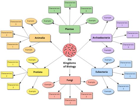 Six Kingdoms Of Biology Template Inspiration Mind Map Template Biggerplate