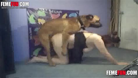 Mom Fucks Dog When Home Alone And Enjoys The Finest