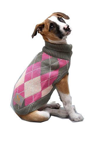 Does A Sweater Keep A Dog Warm