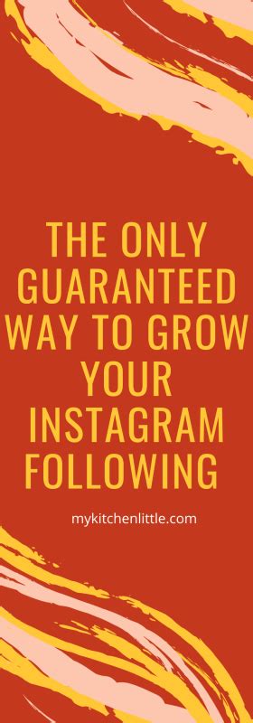 How To Grow Your Instagram Following Part 1 My Kitchen Little