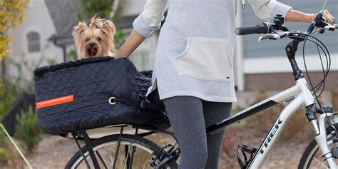 Top 5 Best Dog Bike Carriers W Buying Guide And Reviews
