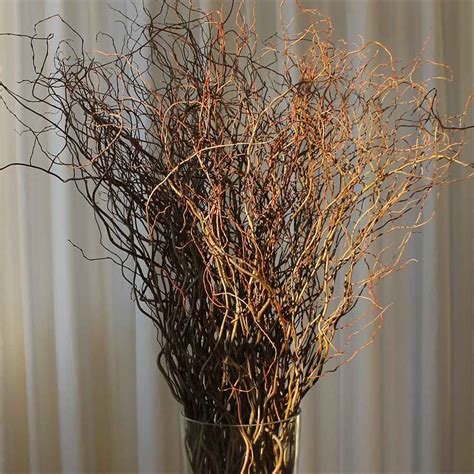 Curly Willow Branches Green Bulk Fresh
