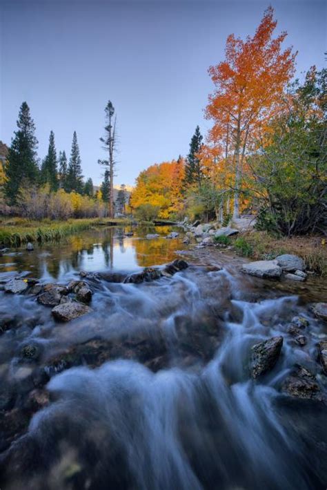 Autumn In Bishop Creek Canyon Shutterbug