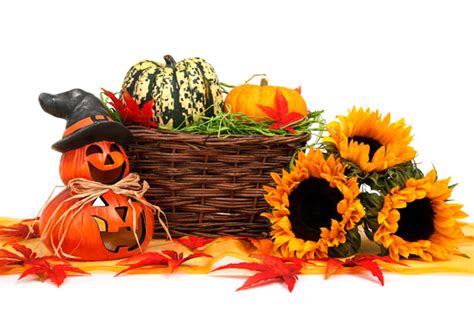 Halloween Harvest Decoration Free Stock Photo Public Domain Pictures