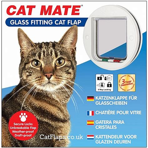 catmate 210 glass fitting 4 way locking cat flap