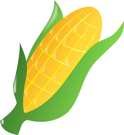 Download High Quality Corn Clipart Easy Transparent Png Images Art
