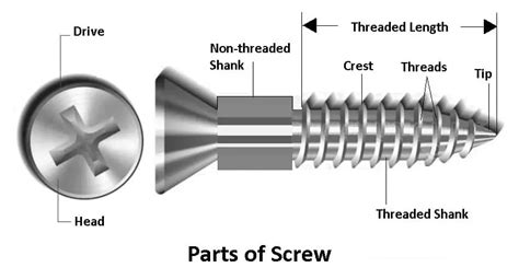 26 Different Types Of Screws And Their Uses Pictures And Pdf 2022