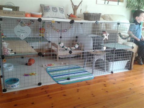 Best Setup For An Indoor Rabbit Rabbits United Forum Pet Bunny