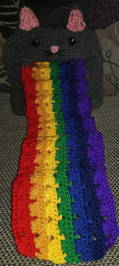 A Crochet Nyan Cat Barf Scarf That I Made From A Pattern R