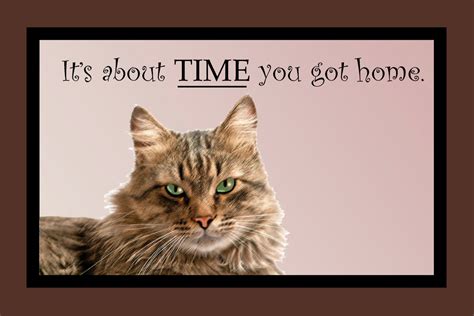 Its About Time You Got Home Cat Door Mat 24x18 By Redbeauty