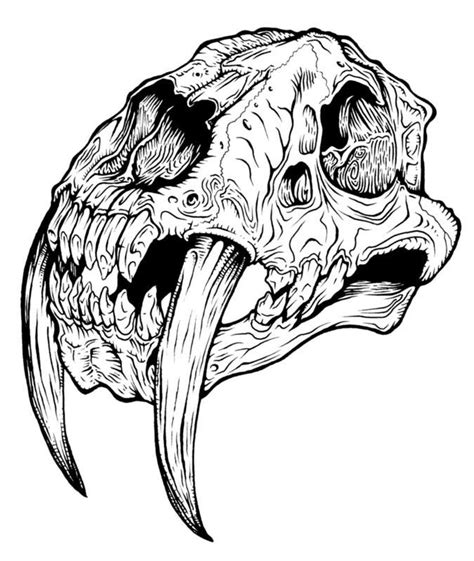 Sabertooth Tiger Skull Tiger Skull Skulls Drawing Cat Skull Tattoo