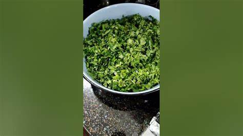 Диета 5 шпинат Шпинат - YouTube Шпинат - YouTube Диета 5 шпинат