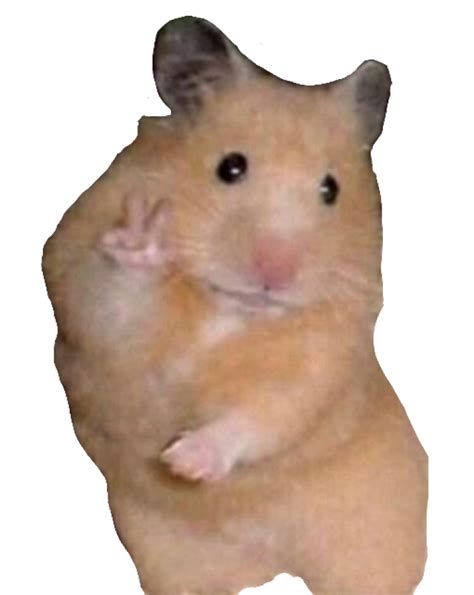 Peace Sign Hamster Meme Png Funny Profile Pictures Funny Hamsters