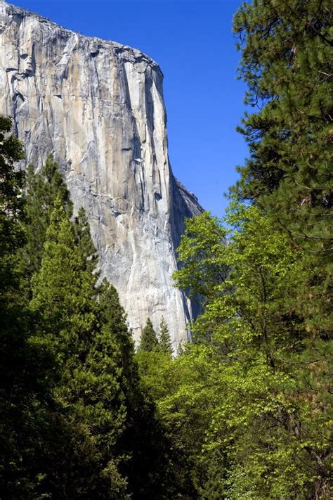 El Capitan Yosemite National Park California Stock Photo Image Of