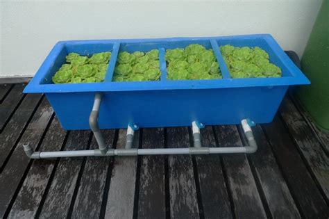 How To Make DIY Koi Pond Filter | Koi Fish Care Info