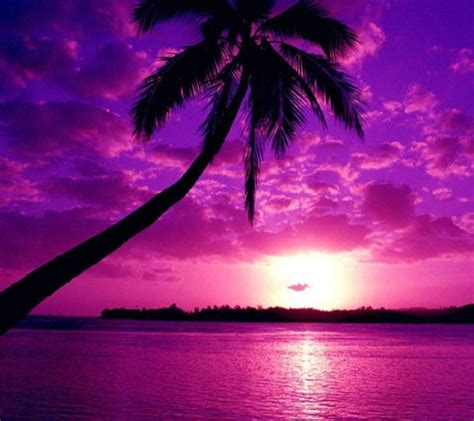Purple Sunset Wallpaper By Wotsitgizmo 10 Free On Zedge