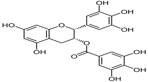 Epigallocatechin 3 O Gallate Structure The Main Component Of Green Tea