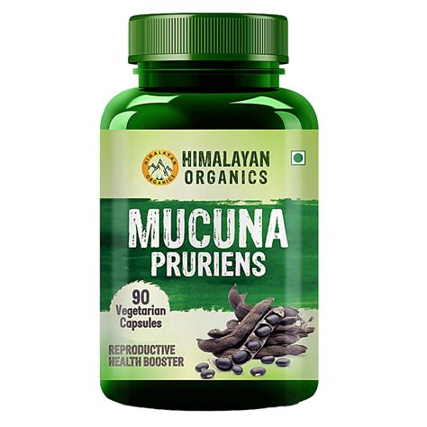 Organic Mucuna Pruriens Extract Powder Contains Natural L Dopa 1 Pound 908 Servings Pure