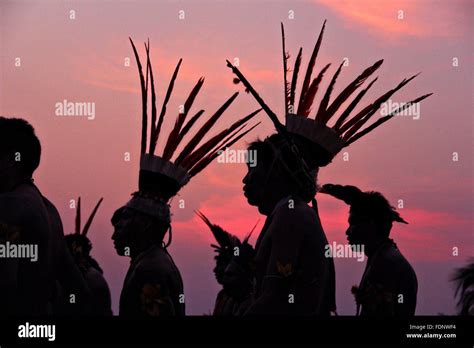 brazilian indigenous people in native costume are silhouetted by the setting sun during the