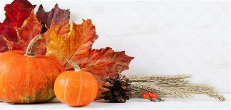 Autumn Harvest Stock Photos Motion Array